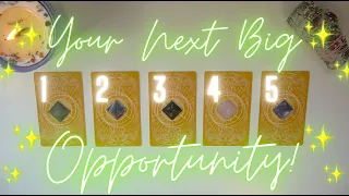 🌟What OPPORTUNITY/OFFER is Coming Next?🤑💘 Timeless Tarot Reading 🌟
