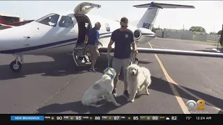 Pilots help save pets from euthanasia