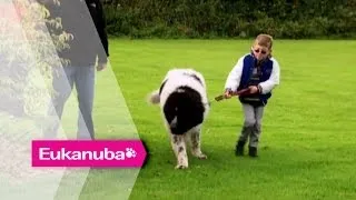 Whizz the Newfoundland helping Children - Part 1 | Extraordinary Dogs