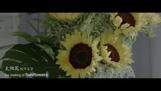 Sunflowers 太阳花 Behind The Scenes