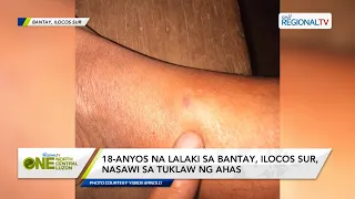 One North Central Luzon: 18-anyos na lalaki sa Bantay, Ilocos Sur, nasawi sa tuklaw ng ahas