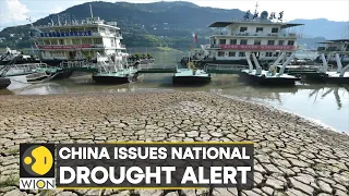 WION Climate Tracker: China battles scorching temperatures and heat wave | World News
