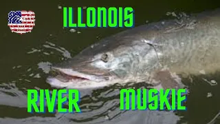 Come along as I catch another SUPER AGGRESSIVE RIVER MUSKIE  !!!!!!!