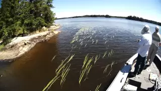 Muskie Fishing Canada