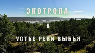 Экотропа в устье реки Выбья.