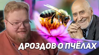 РЕАКЦИЯ T2x2: Николай Дроздов рассказывает о пчелах и других насекомых 🐝