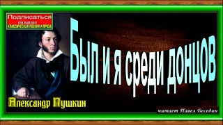 Был и я среди донцов, Александр Пушкин ,Русская Поэзия , читает Павел Беседин