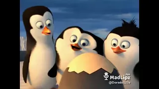 Los pinguinos de Madagascar Doblaje chistoso