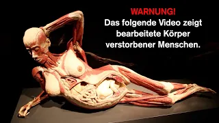 Checkarell - Tote Menschen gefilmt bei "Körperwelten"