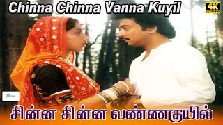 சின்ன சின்ன வண்ண குயில் | Chinna Chinna Vanna Kuyil Video Song | Mohan | Revathi | Ilaiyaraaja