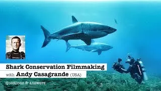 SHARK CONSERVATION FILMMAKING with Andy Brandy Casagrande