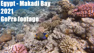 Egypt - Makadi Bay  / Hurghada snorkeling 2021 GoPro underwater footage