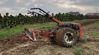 aratura motocoltivatore Goldoni, plowing 20 cm. Come iniziare il lavoro