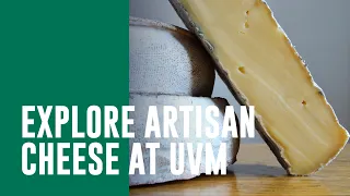 Cheese Makers, Mongers, and Enthusiasts: Explore Artisan Cheese at the University of Vermont