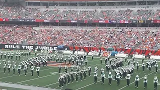 Cincinnati Bengals v Baltimore Ravens -  Ohio 110 Marching band half time performance