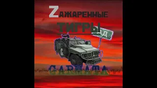 Za Хотели в Украину а попали прямо в ад Зажаренные тигры - Гармата