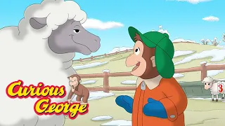 Curious George 🐑 Counting Sheep 🐑 Kids Cartoon 🐵 Kids Movies 🐵 Videos for Kids