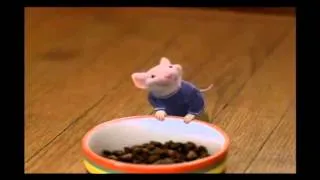 Stuart Little [Short CLIP] - Wanna be friends?