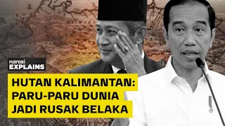 Hijau di Kalimantan: Pohonnya Ditebang, Hutannya Dibabat | Narasi Explains