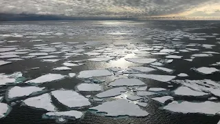 Extreme Weather, Sea Ice and Arctic Warming