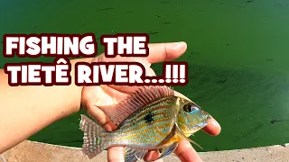 LIFELISTING on the MOST POLLUTED RIVER in BRAZIL...!!! BR24-EP6