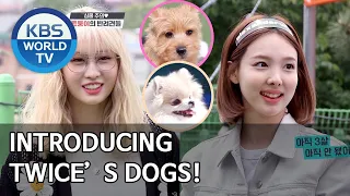 Introducing TWICE’s dogs! [Dogs are incredible/ENG/2020.06.24]