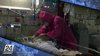 462 человека скончались от коронавируса за сутки в Иране