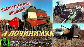 Началось в колхозе утро 5/40. Косим семечку. Поломки.