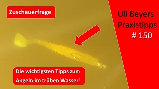 Trübes Wasser angeln: 7 goldene Regeln für´s Spinnfischen