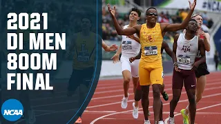 Men's 800m - 2021 NCAA track and field championship