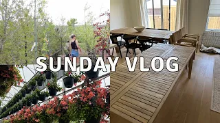 VLOG: EXCITING HOUSE PROJECT! New Outdoor Furniture, Visiting the Garden Centre, Cooking and more!