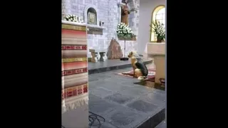 Perro rastreador reconoce a Jesús en el Sagrario