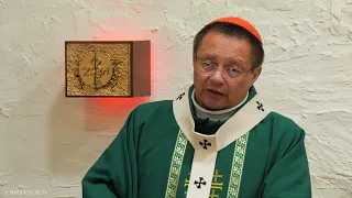 Jezus ciągnie was do ewangelizacji | kard. Grzegorz Ryś