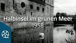 Halbinsel im grünen Meer 1958 - Paul Kellermann 02/05 | FILMSCHÄTZE