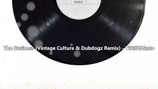 The Business (Vintage Culture & Dubdogz Remix) - Tiësto