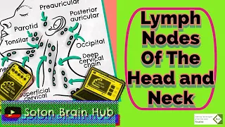 Lymph Nodes of The Head and Neck