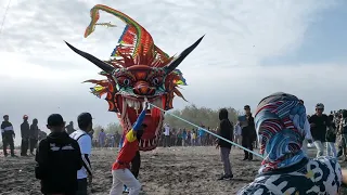 horrified❗a super big dragon kite out of the cage