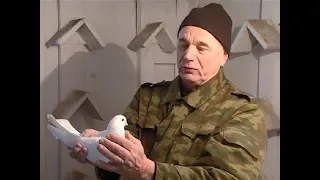 Разведение голубей: какие есть сложности, сколько это стоит и кто этим занимается в Красноярске?