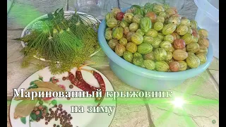 Крыжовник маринованный  вкусно на зиму в гостях у Зины