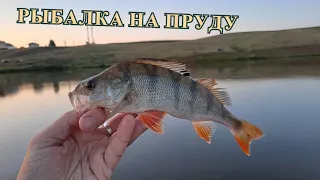 Вечерняя рыбалка на пруду. Ловим бонусных окуней. Ультралайт.