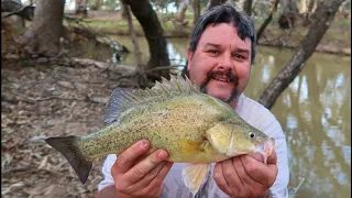 Fishing for yellowbelly, Golden Perch or callop