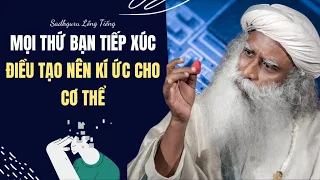 Mọi Thứ Bạn Tiếp Xúc Điều Tạo Nên Kí Ức - Runanubandha | Sadhguru Lồng Tiếng #261