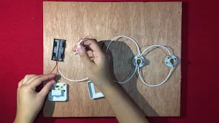 Physics Project: Making a Parallel Circuit