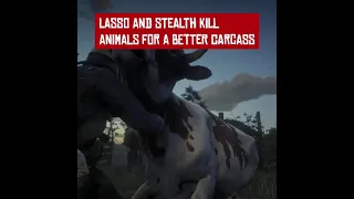 Helpful tips and tricks - Rdr2