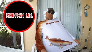 REDFISH 101    EVERYTHING YOU NEED TO KNOW ABOUT THEM!!!!!!!!!