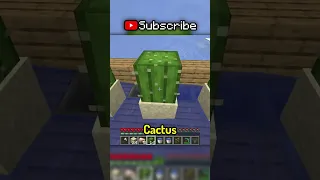 The BEST way to level up in Minecraft