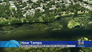 'Gator involved' in death of man found dead in lake at Florida golf course