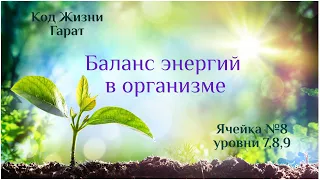 Как устроен большой космос. Код Жизни. Ячейка №8 (7,8,9) уровни.#КОДЖИЗНИ #ГАРАТ