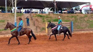 Cavalo Júnior de Marcha Picada - IBIRACI-MG