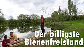 Der billigste Bienenfreistand ?